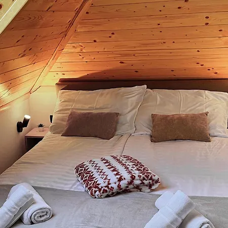 Beautiful In With Sauna Holiday home Moravice